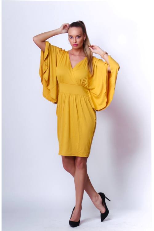 Butterfly Sleeve Mini dress