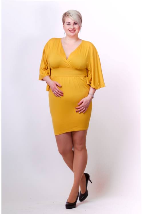 Butterfly Sleeve Mini dress